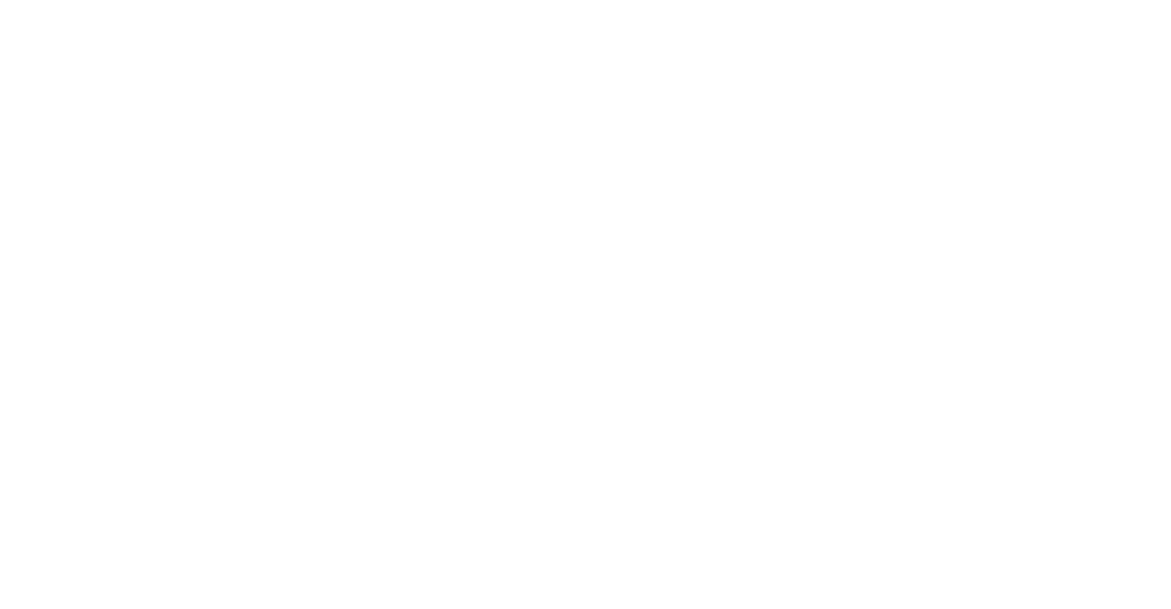 Wizzaid